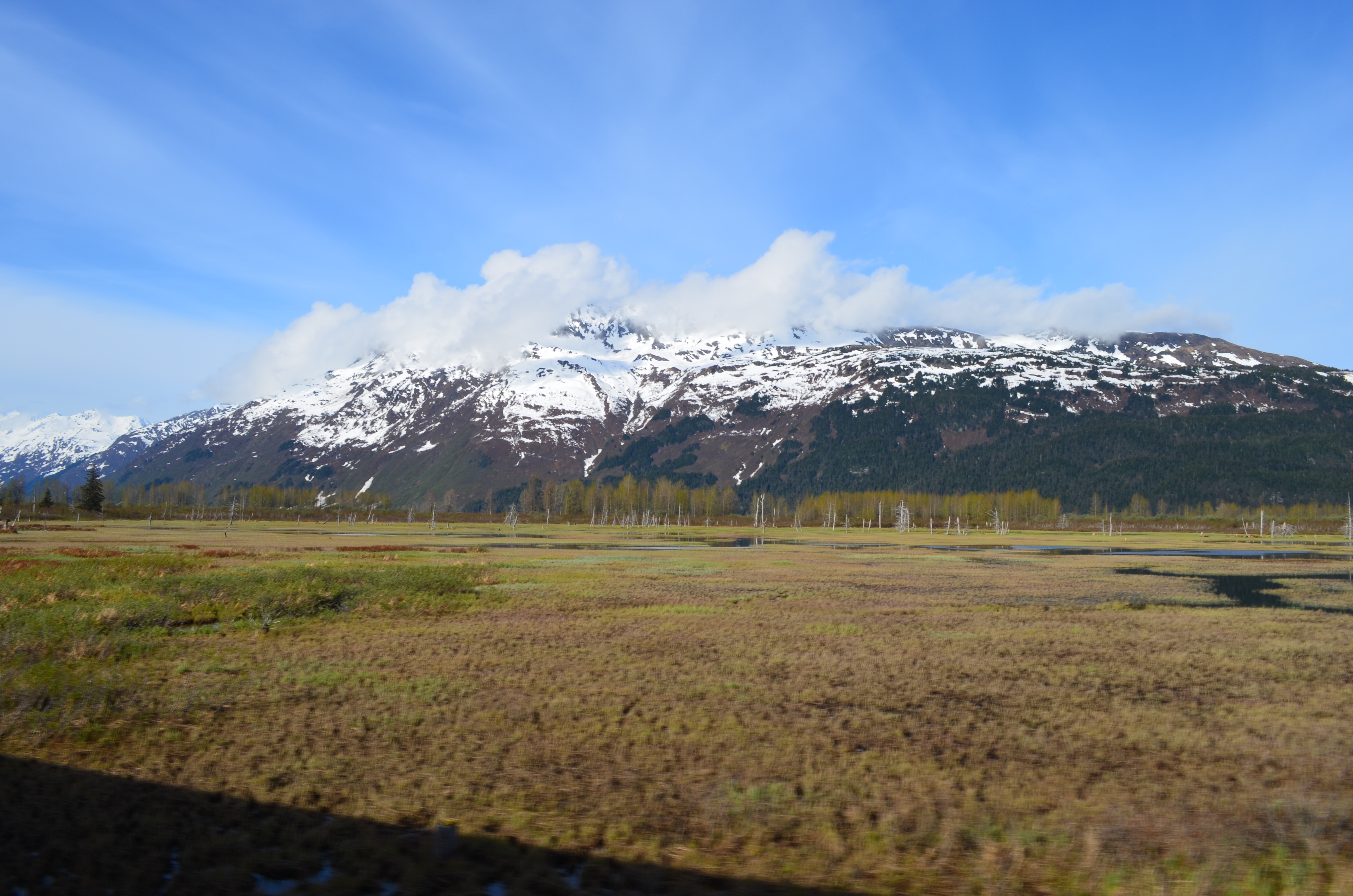 ./2017/08 - Alaska Cruise/05 - Train to Seward/DSC_0512.JPG